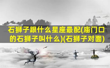 石狮子跟什么星座最配(庙门口的石狮子叫什么)(石狮子对面)