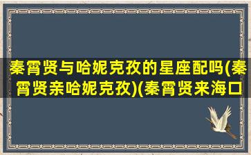 秦霄贤与哈妮克孜的星座配吗(秦霄贤亲哈妮克孜)(秦霄贤来海口)