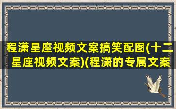 程潇星座视频文案搞笑配图(十二星座视频文案)(程潇的专属文案)