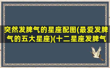 突然发脾气的星座配图(最爱发脾气的五大星座)(十二星座发脾气像什么)