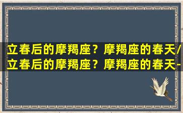 立春后的摩羯座？摩羯座的春天/立春后的摩羯座？摩羯座的春天-我的网站