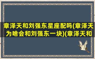 章泽天和刘强东星座配吗(章泽天为啥会和刘强东一块)(章泽天和刘强东什么时间住在一起了)