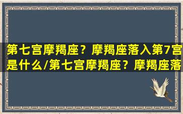 第七宫摩羯座？摩羯座落入第7宫是什么/第七宫摩羯座？摩羯座落入第7宫是什么-我的网站