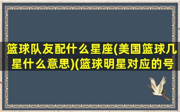 篮球队友配什么星座(美国篮球几星什么意思)(篮球明星对应的号码)