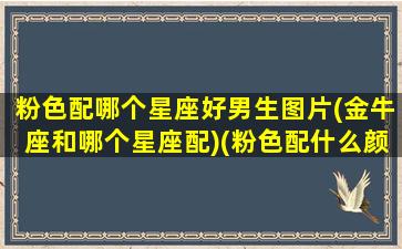 粉色配哪个星座好男生图片(金牛座和哪个星座配)(粉色配什么颜色像情侣)