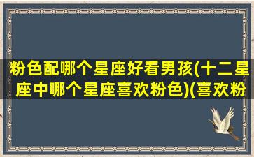 粉色配哪个星座好看男孩(十二星座中哪个星座喜欢粉色)(喜欢粉色是什么座)