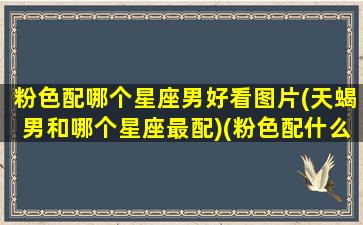 粉色配哪个星座男好看图片(天蝎男和哪个星座最配)(粉色配什么颜色是情侣)