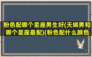 粉色配哪个星座男生好(天蝎男和哪个星座最配)(粉色配什么颜色是情侣)