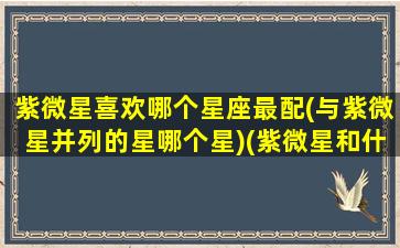 紫微星喜欢哪个星座最配(与紫微星并列的星哪个星)(紫微星和什么星配对)