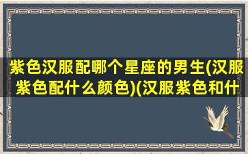 紫色汉服配哪个星座的男生(汉服紫色配什么颜色)(汉服紫色和什么颜色搭配好看)