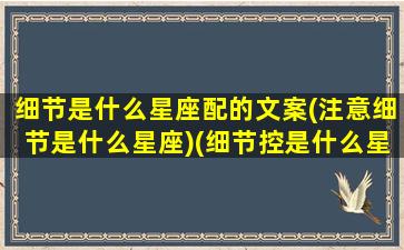 细节是什么星座配的文案(注意细节是什么星座)(细节控是什么星座)