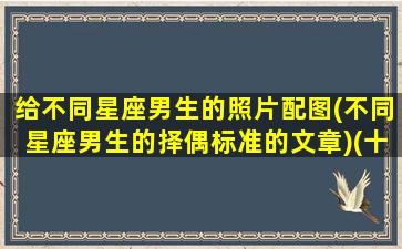 给不同星座男生的照片配图(不同星座男生的择偶标准的文章)(十二星座男朋友的照片)