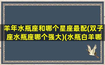 羊年水瓶座和哪个星座最配(双子座水瓶座哪个强大)(水瓶白羊哪个更配双子)