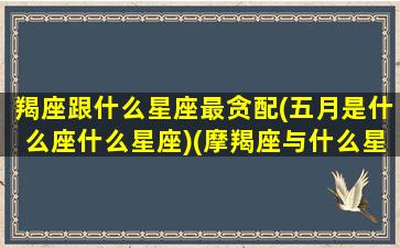 羯座跟什么星座最贪配(五月是什么座什么星座)(摩羯座与什么星座犯冲)