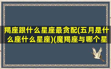 羯座跟什么星座最贪配(五月是什么座什么星座)(魔羯座与哪个星座配)