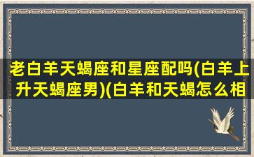 老白羊天蝎座和星座配吗(白羊上升天蝎座男)(白羊和天蝎怎么相处)