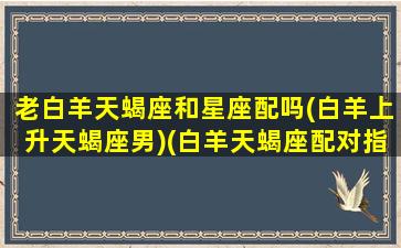 老白羊天蝎座和星座配吗(白羊上升天蝎座男)(白羊天蝎座配对指数)