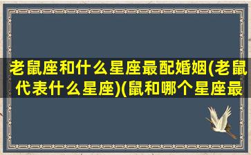 老鼠座和什么星座最配婚姻(老鼠代表什么星座)(鼠和哪个星座最配)