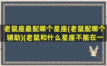 老鼠座最配哪个星座(老鼠配哪个辅助)(老鼠和什么星座不能在一起)