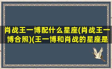 肖战王一博配什么星座(肖战王一博合照)(王一博和肖战的星座是什么)