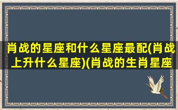 肖战的星座和什么星座最配(肖战上升什么星座)(肖战的生肖星座和谁配)