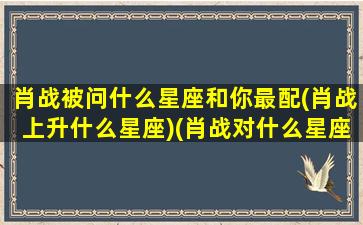 肖战被问什么星座和你最配(肖战上升什么星座)(肖战对什么星座有好感)