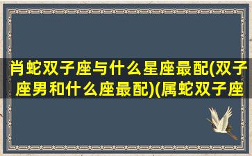 肖蛇双子座与什么星座最配(双子座男和什么座最配)(属蛇双子座男生的性格)