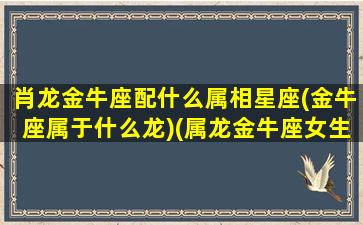 肖龙金牛座配什么属相星座(金牛座属于什么龙)(属龙金牛座女生的感情)