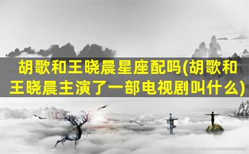 胡歌和王晓晨星座配吗(胡歌和王晓晨主演了一部电视剧叫什么)