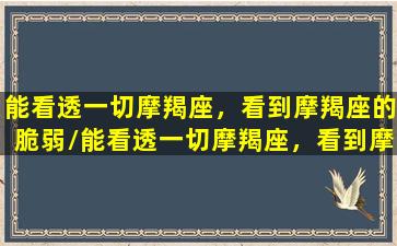 能看透一切摩羯座，看到摩羯座的脆弱/能看透一切摩羯座，看到摩羯座的脆弱-我的网站