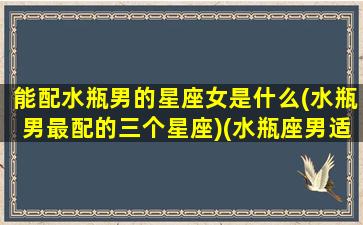 能配水瓶男的星座女是什么(水瓶男最配的三个星座)(水瓶座男适合和什么星座谈恋爱)