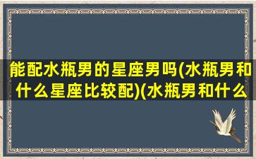 能配水瓶男的星座男吗(水瓶男和什么星座比较配)(水瓶男和什么星座配对合适)