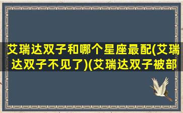 艾瑞达双子和哪个星座最配(艾瑞达双子不见了)(艾瑞达双子被部落)