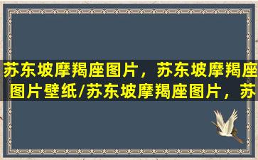 苏东坡摩羯座图片，苏东坡摩羯座图片壁纸/苏东坡摩羯座图片，苏东坡摩羯座图片壁纸-我的网站