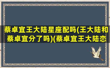 蔡卓宜王大陆星座配吗(王大陆和蔡卓宜分了吗)(蔡卓宜王大陆恋情曝光)