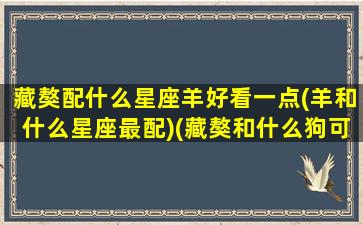 藏獒配什么星座羊好看一点(羊和什么星座最配)(藏獒和什么狗可以一起养)