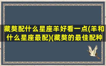 藏獒配什么星座羊好看一点(羊和什么星座最配)(藏獒的最佳配种时间)