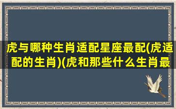 虎与哪种生肖适配星座最配(虎适配的生肖)(虎和那些什么生肖最配)