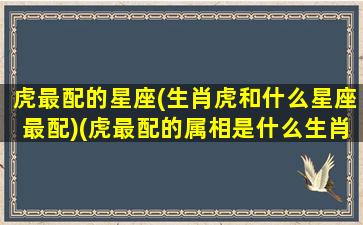 虎最配的星座(生肖虎和什么星座最配)(虎最配的属相是什么生肖)