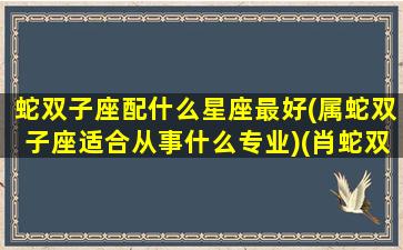 蛇双子座配什么星座最好(属蛇双子座适合从事什么专业)(肖蛇双子)