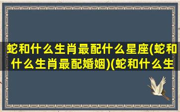 蛇和什么生肖最配什么星座(蛇和什么生肖最配婚姻)(蛇和什么生肖最搭配)