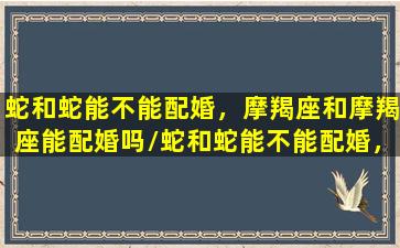 蛇和蛇能不能配婚，摩羯座和摩羯座能配婚吗/蛇和蛇能不能配婚，摩羯座和摩羯座能配婚吗-我的网站