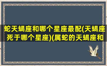 蛇天蝎座和哪个星座最配(天蝎座死于哪个星座)(属蛇的天蝎座和什么星座最配)