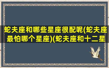 蛇夫座和哪些星座很配呢(蛇夫座最怕哪个星座)(蛇夫座和十二星座配对指数)