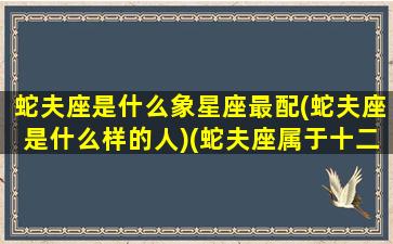 蛇夫座是什么象星座最配(蛇夫座是什么样的人)(蛇夫座属于十二星座吗)