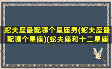 蛇夫座最配哪个星座男(蛇夫座最配哪个星座)(蛇夫座和十二星座配对指数)