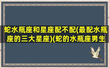 蛇水瓶座和星座配不配(最配水瓶座的三大星座)(蛇的水瓶座男生性格)