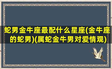 蛇男金牛座最配什么星座(金牛座的蛇男)(属蛇金牛男对爱情观)