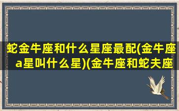 蛇金牛座和什么星座最配(金牛座a星叫什么星)(金牛座和蛇夫座)