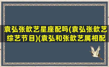 袁弘张歆艺星座配吗(袁弘张歆艺综艺节目)(袁弘和张歆艺属相配吗)